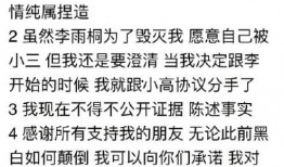 唐小婉被爆料剧本视频,揭秘幕后真相与争议