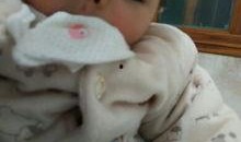 宝宝爆料丑照视频大全集,视频大全集趣味盘点